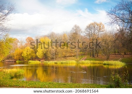 Autumn sunny day with blue sky in the park Botanical garden, near a pond surrounded by autumn trees and yellow grass , Russia, Moscow. Can be used for websites, brochures, posters, printing and design