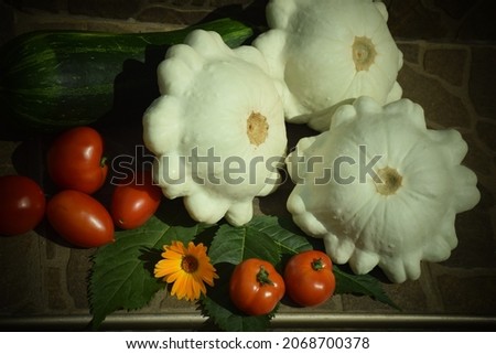 Autumn composition of vegetables on abstract background. Stock Image