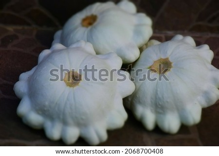 Three young and mature fruits of the white scallop squash lie on abstract background. Stock Image
