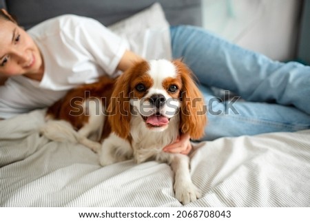 Young woman lying on the bed at home with Cavalier King Charles Spaniel dog and smiling. Royalty-Free Stock Photo #2068708043