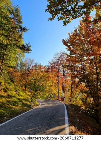 Amazing fall photos in the pictorical background of Trentino, Italy