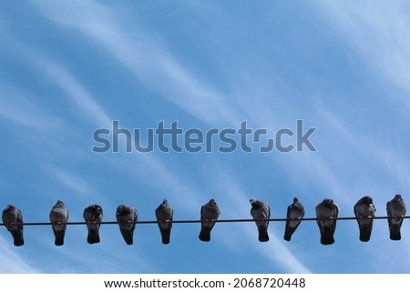Blue sky with clouds and birds on wire