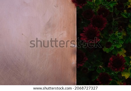 Black chrysanthemums on a copper surface. Dark photo. Copy space.