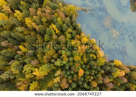 Multicolored autumn forest and clear river, aerial photography.  Travel in Russia. Suitable for vacation advertising.