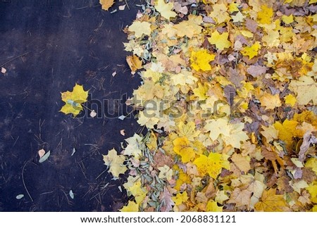 Autumn leaves on a dirt road - seasonal background