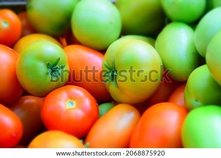 Red and green tomatoes background. Stock Photo
