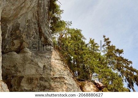A White rock with pine forest on the top. Selective focus. High quality photo Royalty-Free Stock Photo #2068880627