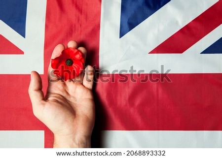 Remembrance Day. Realistic Red Poppy flower in hand and Flag of the United Kingdom of Great Britain.