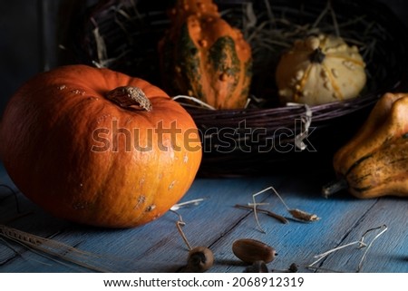 Pumpkins on a blue wooden table