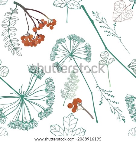Seamless pattern of hand drawn doodle style autumn plants. Vector illustration.
