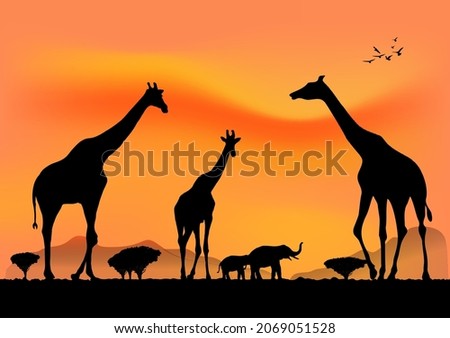 graphics landscape view giraffe at the forest with mountain background and twilight silhouette vector illustration