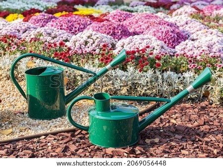 Watering cans in the garden near the flower bed