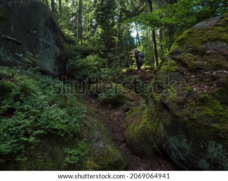Man walking in dense forest with mossy sandstone rocks and boulders at hiking trail at Zittauer Gebirge mountains nature park, summer landscape, Germany