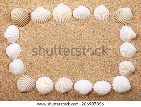 Picture frame of seashells on the sand