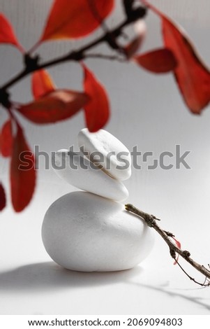 Stack of decorative stones,red leaves,branches on the white surface.Tranquility and natural condition