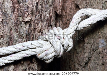Tree rope