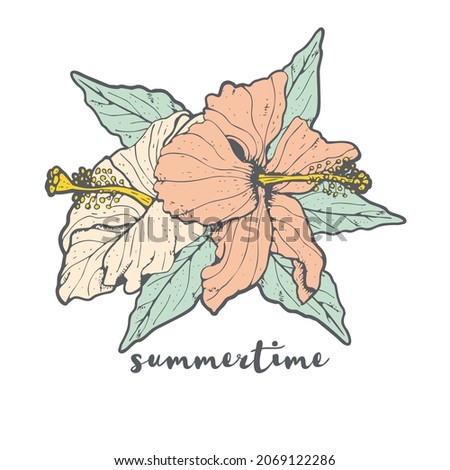 Vintage Line art hibiscus flower arrangement with gray outline and text summertime, isolated on white background. Stock illustration.