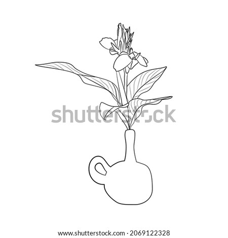 Line art black tropical potted house plant canna lily isolated on white background. Stock illustration.