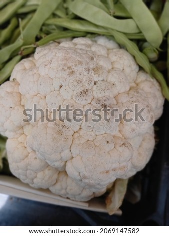 Winter vegetable white large cauliflower