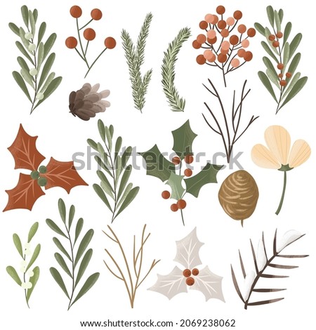Set of hand drawn winter plants, isolated illustration on white background