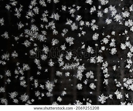  wall canvas snowflakes white flowers