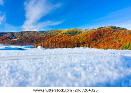autumn beech and coniferous forest Carpathians Ukraine in October, gentle fogs and frost, beautiful red and yellow orange colors. Aerial view drone copter Royalty-Free Stock Photo #2069284325
