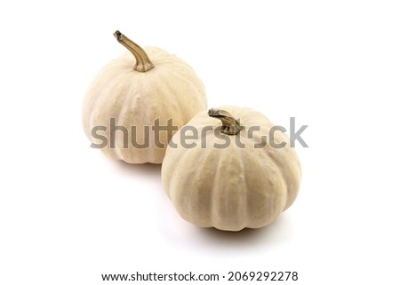Decorative mini pumpkins isolated on white background