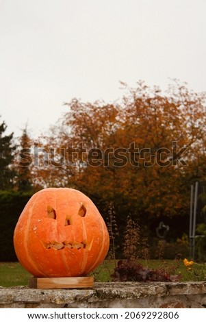 A picture with a pumpkin, gives autumn vibes. 