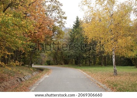 
A road lined with trees on both sides