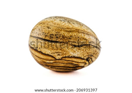 Picture jasper stone egg on white