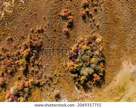Aerial view from above of bog, grass and trees by the lake. East Kootenay, British Columbia, Canada. Royalty-Free Stock Photo #2069317715