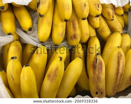 Macro photo yellow fresh bananas. Stock photo fruit tropical spell bananas background