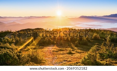 Bright Carpathian landscape in the morning light. The beauty of the Carpathian Mountains. Natural light. Panoramic view.  Vibrant photo wallpaper.
