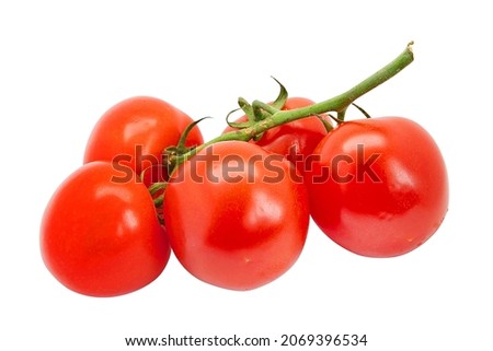 red fresh tomatoes on a green branch with leaves on a white background for your menu design or advertising brochure Royalty-Free Stock Photo #2069396534