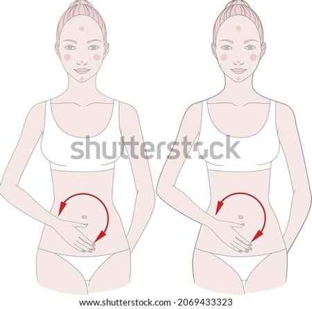 Half-figure of a girl. Self-massage of fatty deposits in the abdomen. Vector illustration. Royalty-Free Stock Photo #2069433323