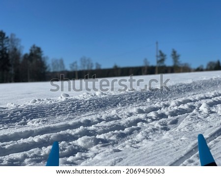 Winter in the Ore Mountains cross-country skiing