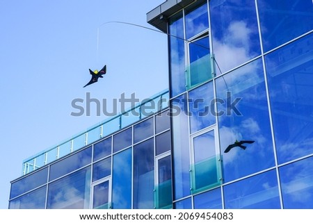 Bird repellent dragon mimics the silhouette of a hawk or falcon and protects birds from hitting the glass facade Royalty-Free Stock Photo #2069454083
