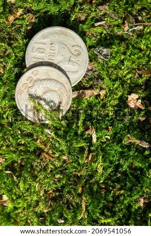 Old coins in the forest on green moss