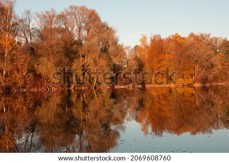 Lake with tree reflections on the calm surface in the autumn sun