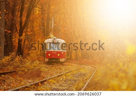 Old autumn tram in the autumn forest. Beautiful photo of the yellow forest.  Empty space for text. The sun in frame. 