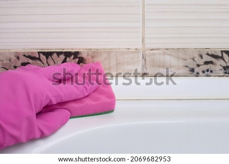 Removing mold and mildew from tile joints in the bathroom by woman hand in pink protective gloves and a sponge, copyspace Royalty-Free Stock Photo #2069682953