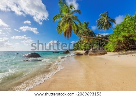 Paradise Sunny beach with coco palms on sandy beach and blue sea.  Summer vacation and tropical beach concept.  