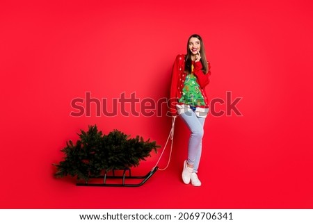 Photo of sweet tricky lady wear ornament sweater carrying sledges christmas tree looking empty space isolated red color background