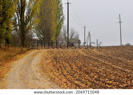 The picture shows a plowed field and a dirt road covered with fallen leaves.