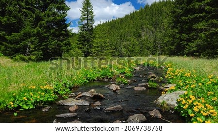 A small mountain stream flowing through an alpine pasture. Lots of flowers are blooming in the meadow which is surrounded by a coniferous forest. Royalty-Free Stock Photo #2069738768