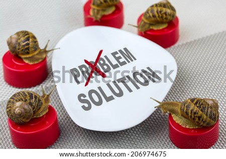 metaphor of business meeting with snails around table and word solution