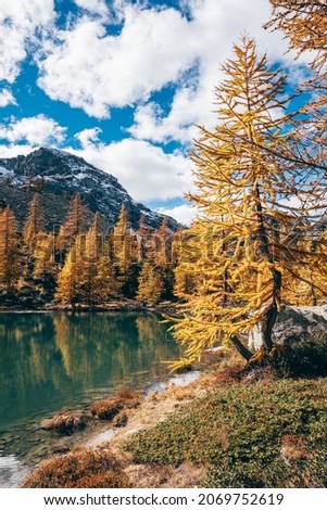 Autumn Vibes  in Aosta Valley