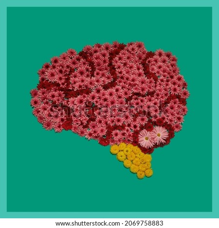 Anatomical model of human brain , flower installation on green background. Part of set pictures of internal human organs