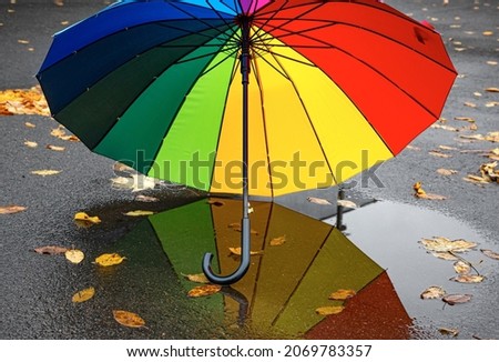 A bright multi-colored umbrella on the wet autumn asphalt.