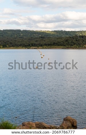 White buoys on the blue lake in row